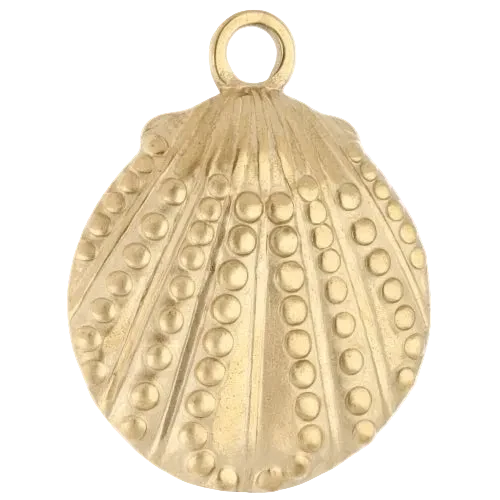 Coquillage