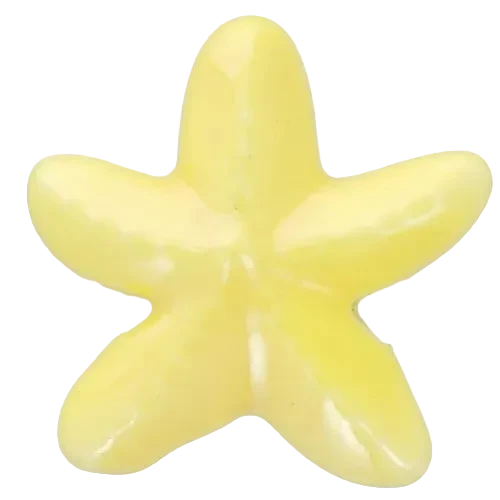 Etoile de mer