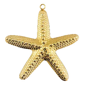 Etoile de mer