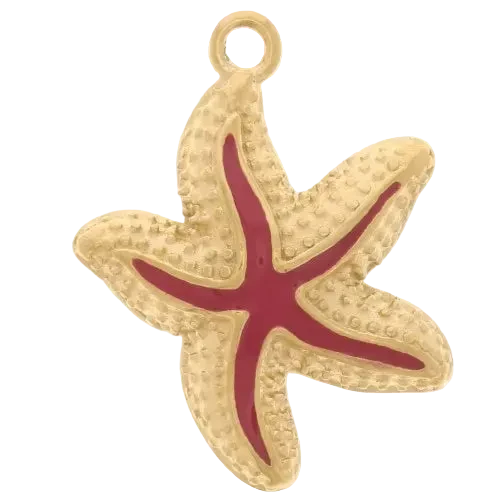 Etoile de mer