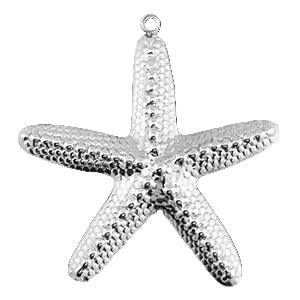 Etoile de mer