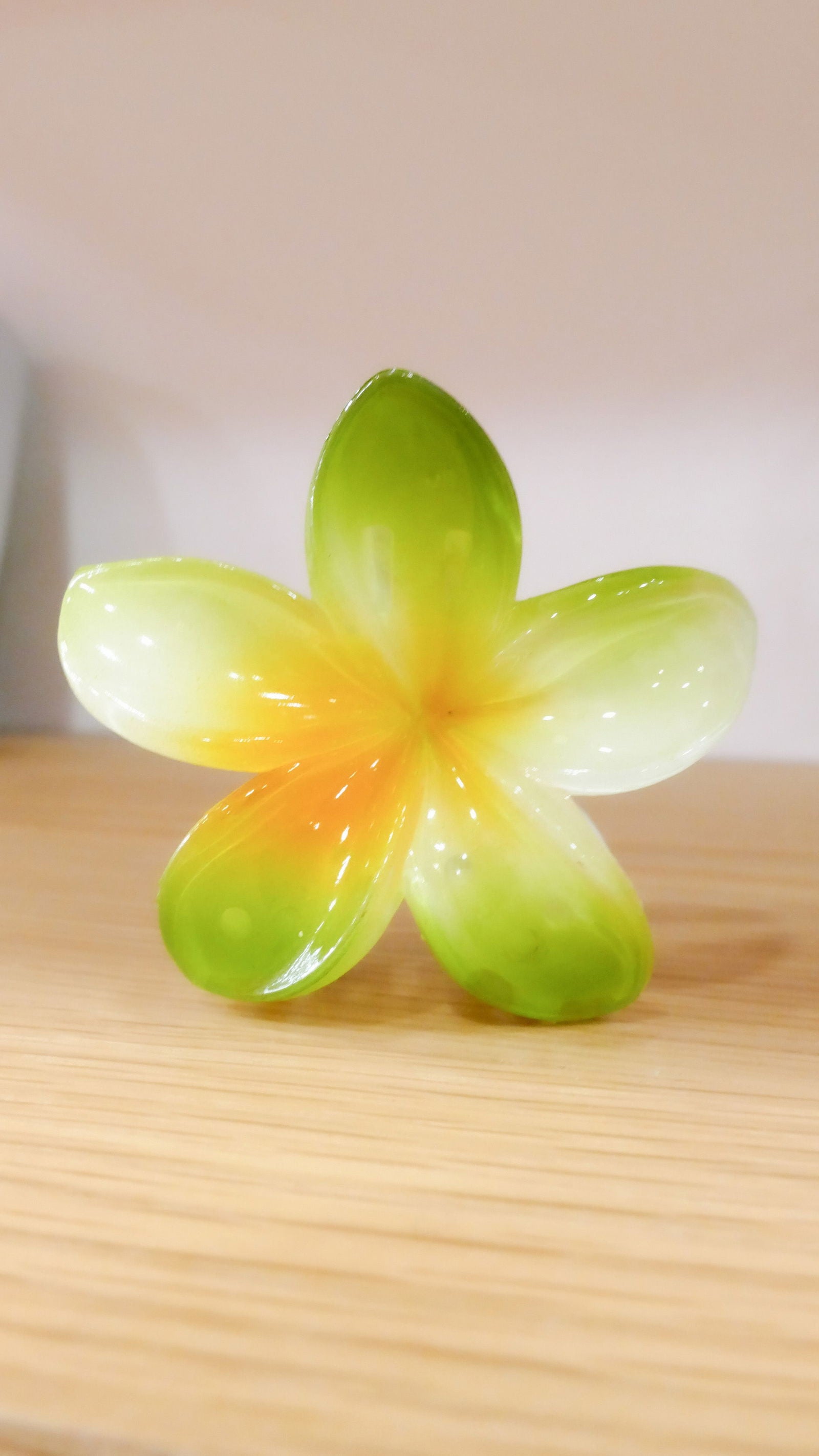 Pinces mini fleurs tiaré - Atelier 628