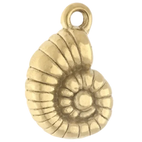 Coquillage escargot