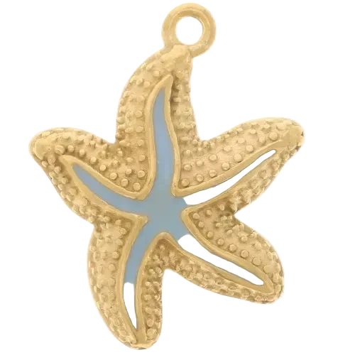 Etoile de mer