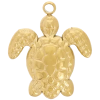 Tortue