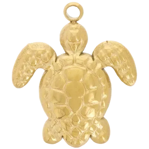 Tortue