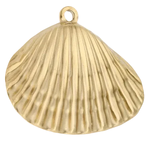 Coquillage