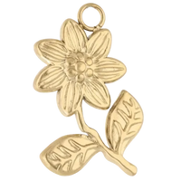 Fleurs