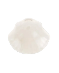 Coquillage colorée