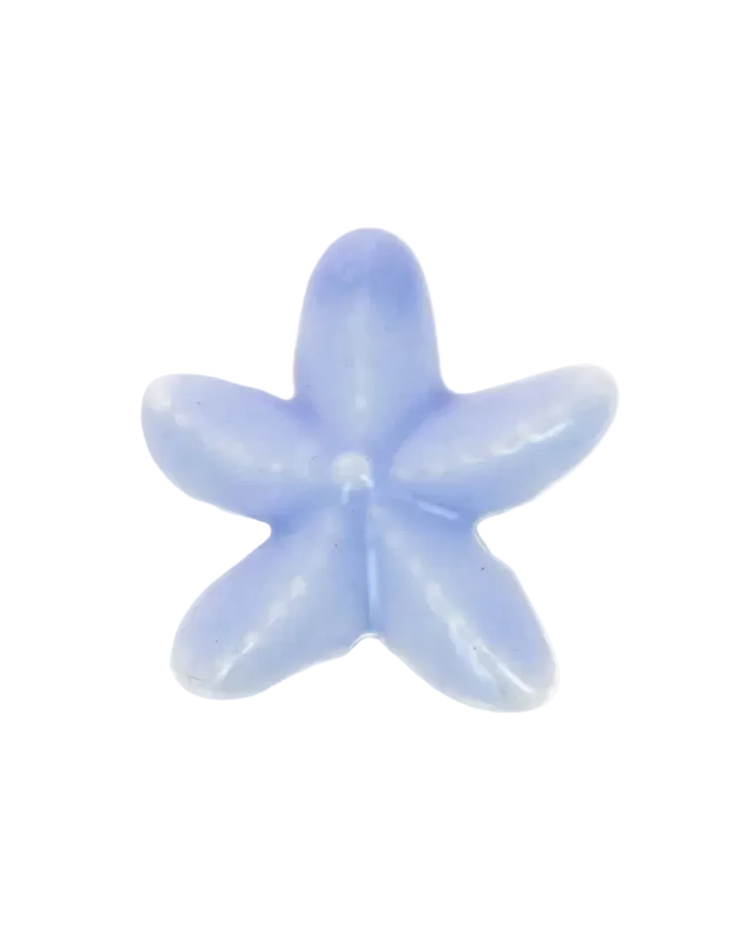 Etoile de mer