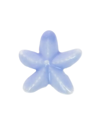 Etoile de mer